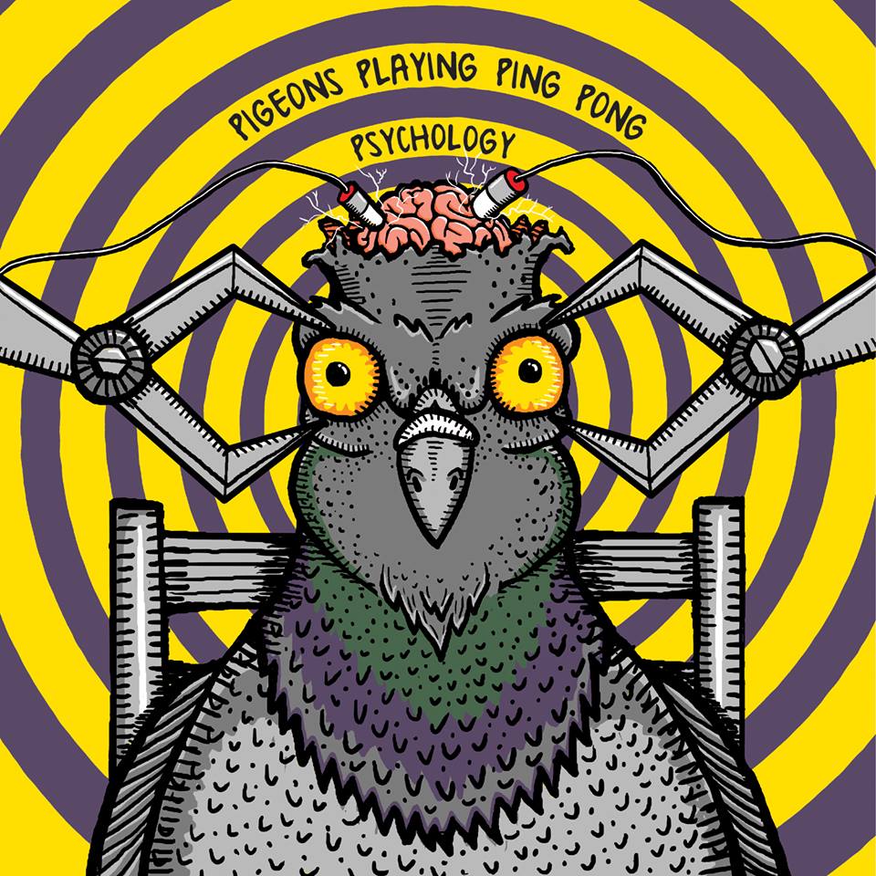 pigeons
