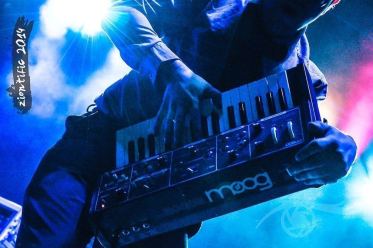 ZIONTIFIC_Sophistafunk_Amanda Beckwith Photog