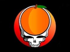 Steal Your Peach band logo