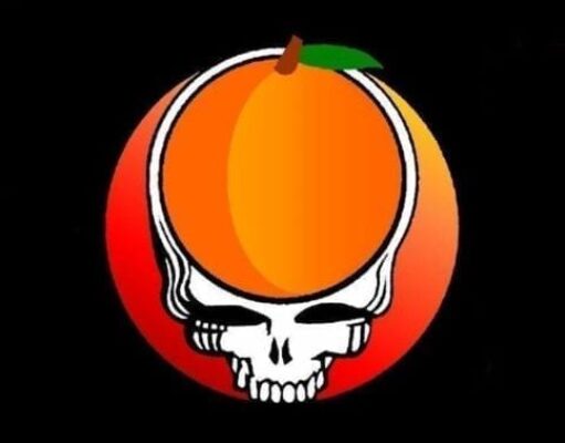 Steal Your Peach band logo