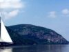 Clearwater Festival announces lineup