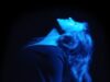 Vanessa Carlton New Video & Album